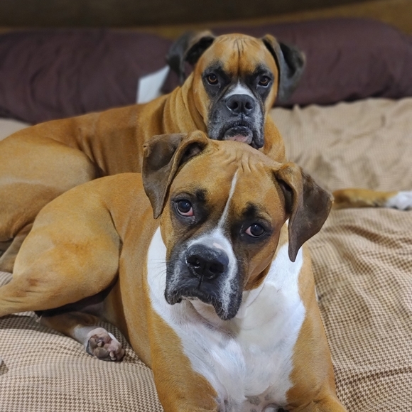 Meet your Posher, Annette - Picture 9 of 15